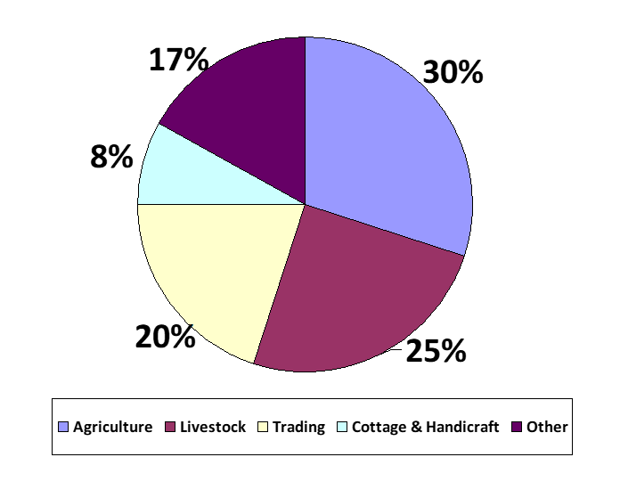 Amena Foundation Islami Microfinance